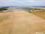 DASCALU - TEREN INTRAVILAN 7500 MP, INVESTITIE!