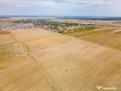 DASCALU - TEREN INTRAVILAN 7500 MP, INVESTITIE!