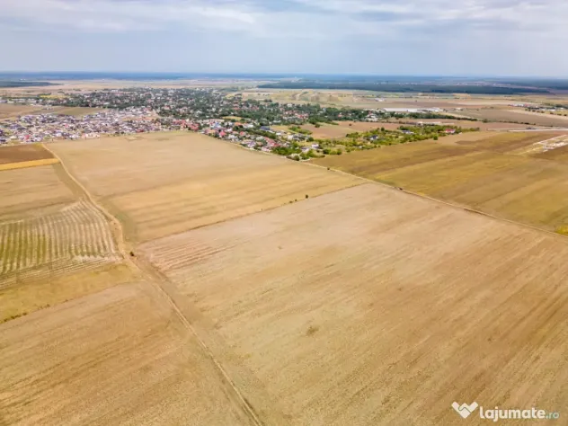 DASCALU - TEREN INTRAVILAN 7500 MP, INVESTITIE! - Dascalu (Bucuresti-Ilfov)