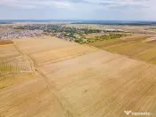 DASCALU - TEREN INTRAVILAN 7500 MP, INVESTITIE!