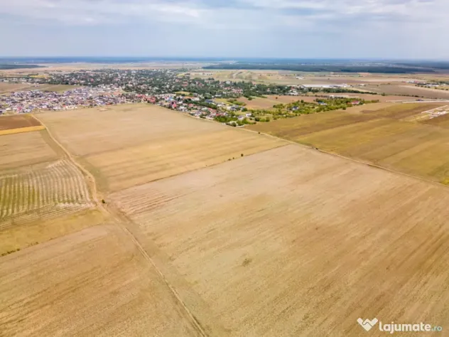 DASCALU - TEREN INTRAVILAN 7500 MP, INVESTITIE! - Dascalu (Bucuresti-Ilfov)