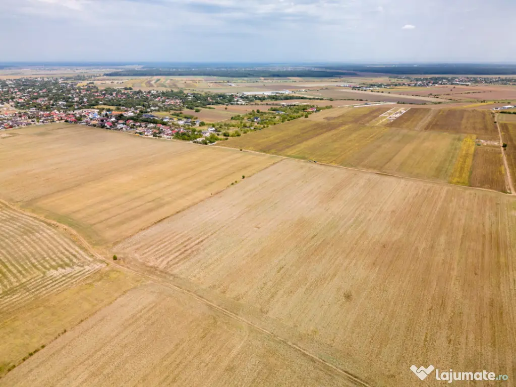 DASCALU - TEREN INTRAVILAN 7500 MP, INVESTITIE! - Dascalu (Bucuresti-Ilfov)