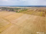 DASCALU - TEREN INTRAVILAN 7500 MP, INVESTITIE!