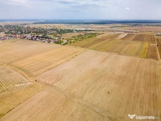 DASCALU - TEREN INTRAVILAN 7500 MP, INVESTITIE! - Dascalu (Bucuresti-Ilfov)