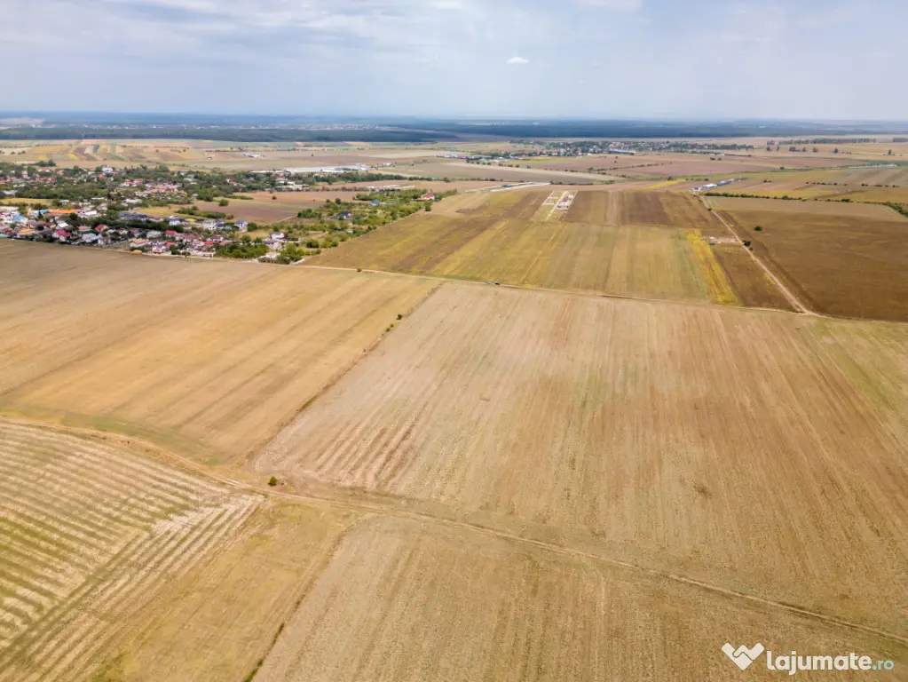 DASCALU - TEREN INTRAVILAN 7500 MP, INVESTITIE! - Dascalu (Bucuresti-Ilfov)