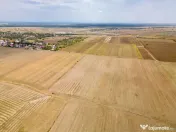 DASCALU - TEREN INTRAVILAN 7500 MP, INVESTITIE!