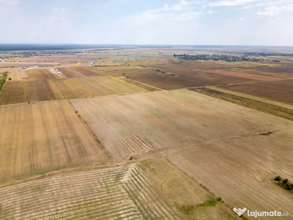 DASCALU - TEREN INTRAVILAN 7500 MP, INVESTITIE! - Dascalu (Bucuresti-Ilfov)