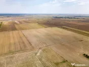 DASCALU - TEREN INTRAVILAN 7500 MP, INVESTITIE!