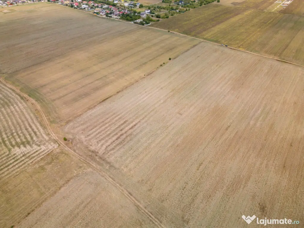 DASCALU - TEREN INTRAVILAN 7500 MP, INVESTITIE! - Dascalu (Bucuresti-Ilfov)