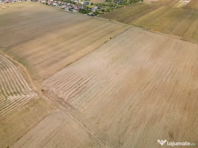 DASCALU - TEREN INTRAVILAN 7500 MP, INVESTITIE! - Dascalu (Bucuresti-Ilfov)