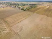 DASCALU - TEREN INTRAVILAN 7500 MP, INVESTITIE!