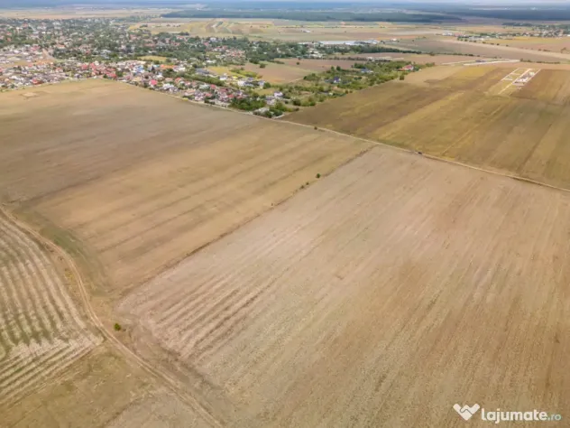 DASCALU - TEREN INTRAVILAN 7500 MP, INVESTITIE! - Dascalu (Bucuresti-Ilfov)
