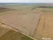 DASCALU - TEREN INTRAVILAN 7500 MP, INVESTITIE!