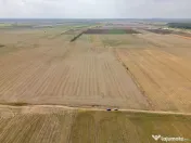 DASCALU - TEREN INTRAVILAN 7500 MP, INVESTITIE!