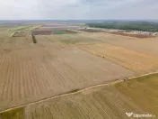 DASCALU - TEREN INTRAVILAN 7500 MP, INVESTITIE!