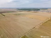 DASCALU - TEREN INTRAVILAN 7500 MP, INVESTITIE!