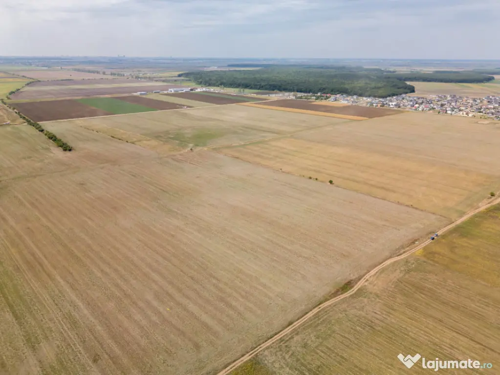 DASCALU - TEREN INTRAVILAN 7500 MP, INVESTITIE! - Dascalu (Bucuresti-Ilfov)