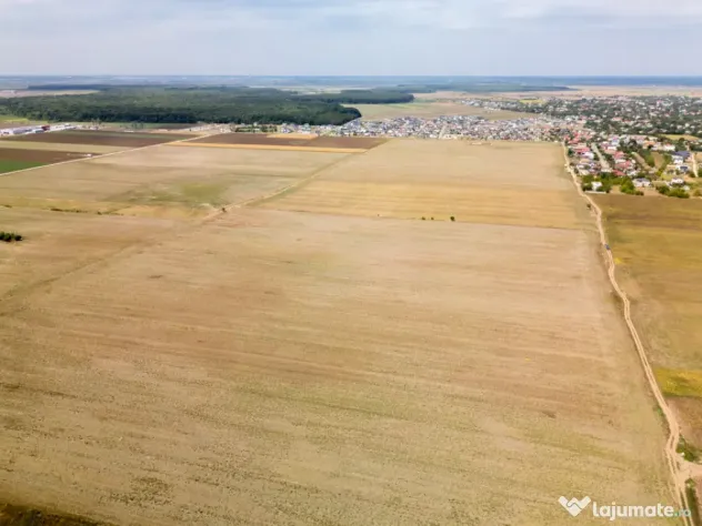 DASCALU - TEREN INTRAVILAN 7500 MP, INVESTITIE! - Dascalu (Bucuresti-Ilfov)