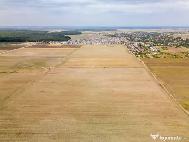 DASCALU - TEREN INTRAVILAN 7500 MP, INVESTITIE! - Dascalu (Bucuresti-Ilfov)