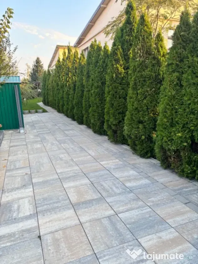 Casa individuala-zona selecta-padure,lac,foisor,gratar,beci,Corbeanca - Corbeanca (Bucuresti-Ilfov)