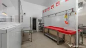 Spațiu comercial complet echipat pentru măcelărie / carma 
