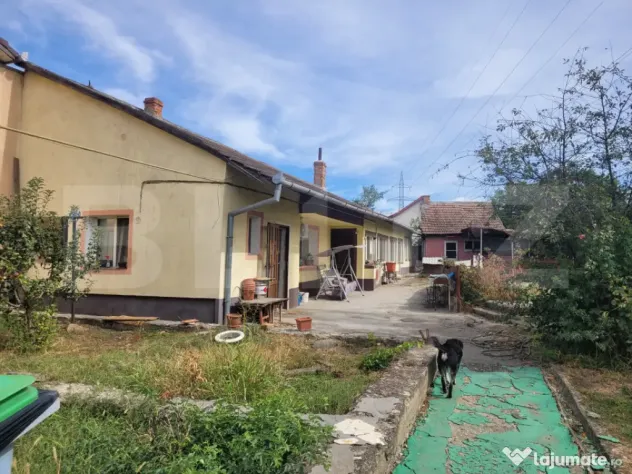 Teren 708 mp | casă demolabilă | front 14m x 40m | P+1E+M - Timisoara (Timis)