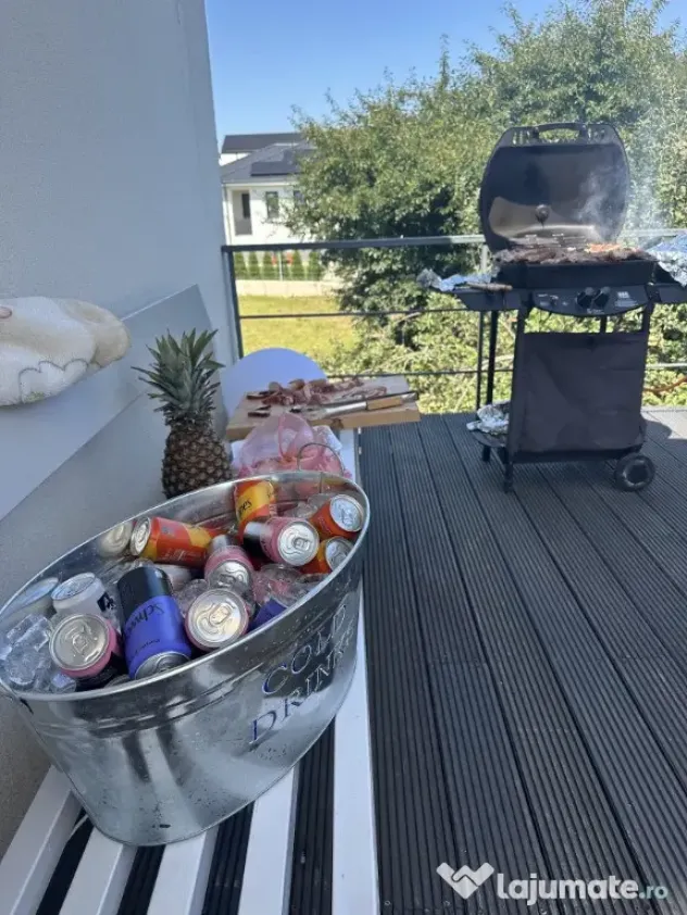 Vilă Premium + Hala in ipotesti - Ipotesti (Suceava)