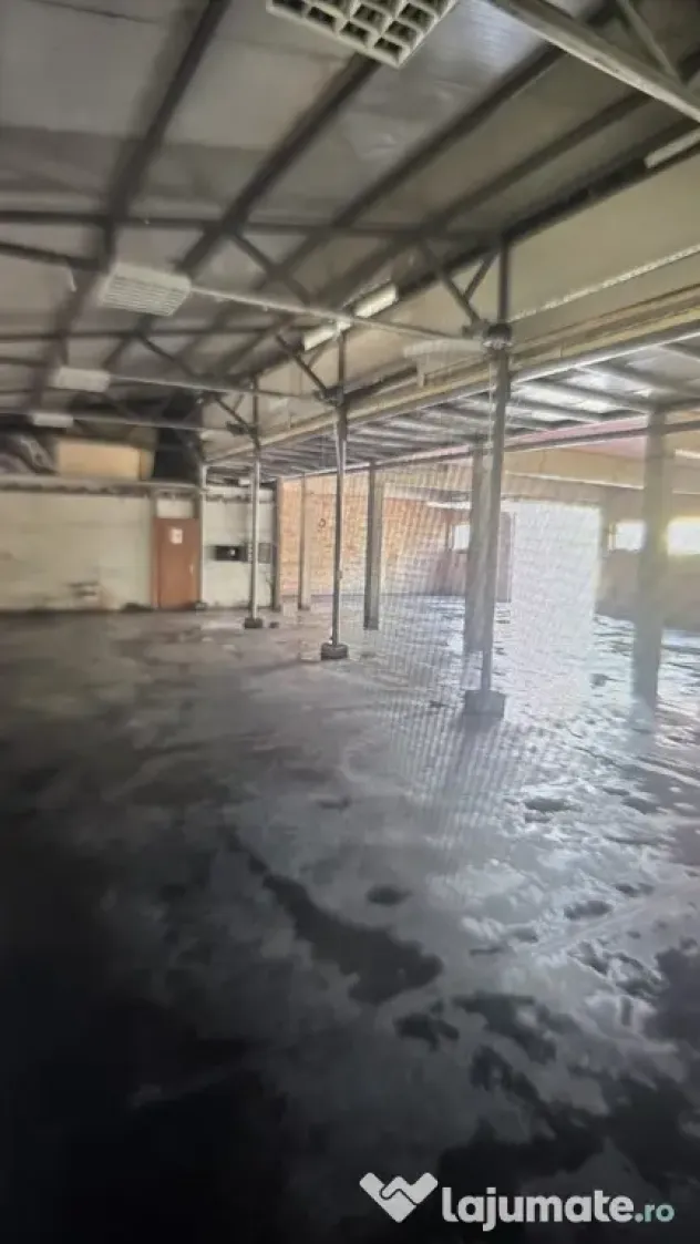 Vilă Premium + Hala in ipotesti - Ipotesti (Suceava)