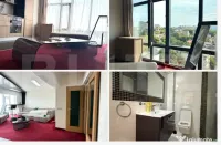 Apartament 1 camera gara renovat complet
