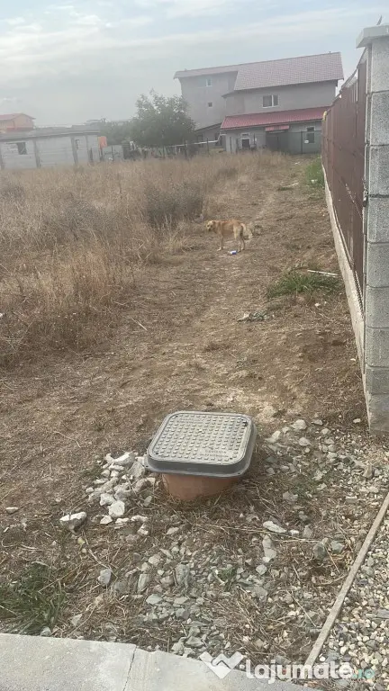 Teren de vânzare Costinești - Costinesti (Botosani)