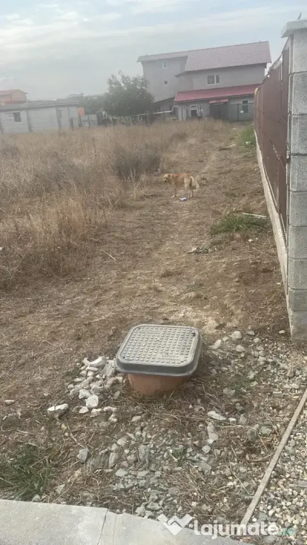 Teren de vânzare Costinești - Costinesti (Botosani)