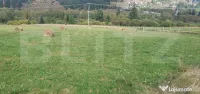 Teren intravilan, 1.000 mp, zona Vatra Dornei