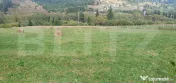Teren intravilan, 1.000 mp, zona Vatra Dornei