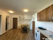 Apartament 2 camere de inchiriat, strada Paris 