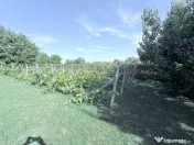 Casuta cu toate utilitatile si 2300mp teren la Catamaresti Deal 