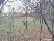 Teren intravilan 3500mp | Cotofenesti, Prahova 