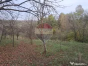 Teren intravilan 3500mp | Cotofenesti, Prahova 