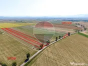 Teren 30,000mp Halchiu /Satul Nou 