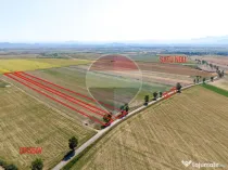 Teren 30,000mp Halchiu /Satul Nou