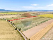 Teren 30,000mp Halchiu /Satul Nou 