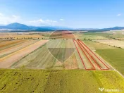 Teren 30,000mp Halchiu /Satul Nou 
