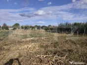 Casa de vanzare in Sinicolau Roman cu teren generos de 1200m 