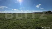 Teren extravilan de vânzare – Comuna Cetate, zonă liniș 