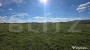 Teren extravilan de vânzare – Comuna Cetate, zonă liniș 