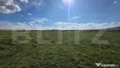 Teren extravilan de vânzare – Comuna Cetate, zonă liniș 
