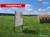 Parcele teren intravilan de case 700 mp Pischia,comision 0% 