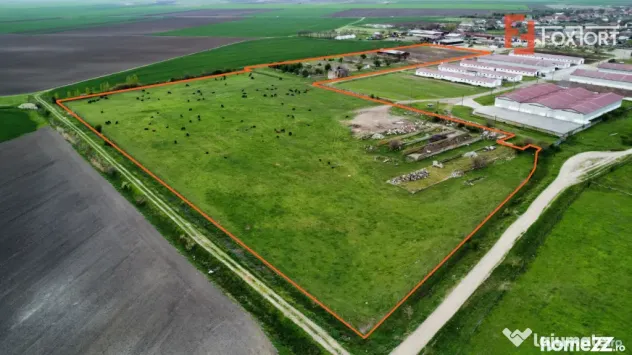 Teren intravilan cu suprafata de 58.340 mp, in Sanmartinul S - Peciu Nou (Timis)