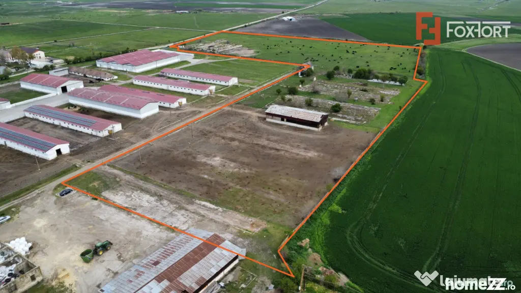 Teren intravilan cu suprafata de 58.340 mp, in Sanmartinul S - Peciu Nou (Timis)