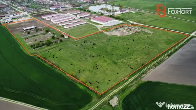 Teren intravilan cu suprafata de 58.340 mp, in Sanmartinul S - Peciu Nou (Timis)