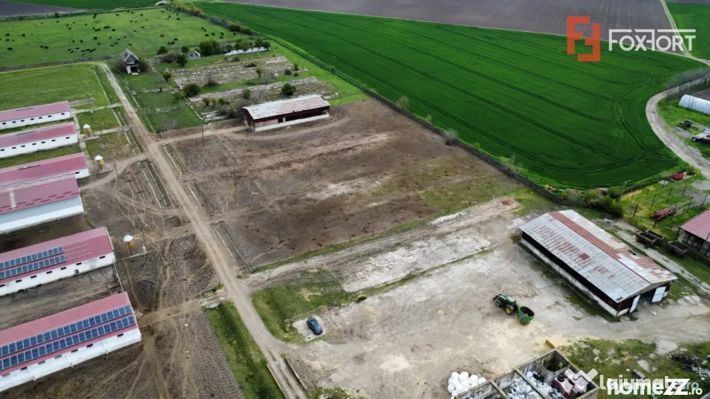 Teren intravilan cu suprafata de 58.340 mp, in Sanmartinul S - Peciu Nou (Timis)